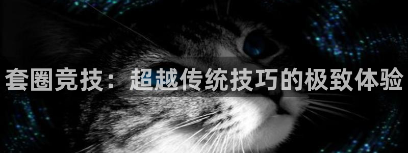 新宝gg6—创造奇迹