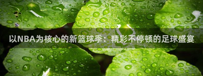 网球直播吧在线直播观看