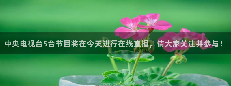 天天直播 努力做最好的体育直播吧