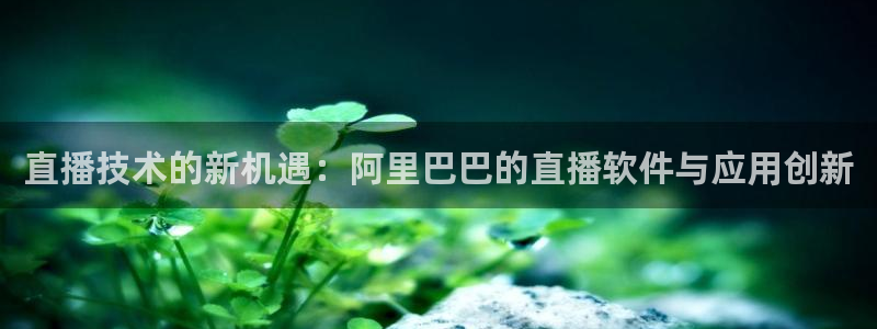 'nba直播吧