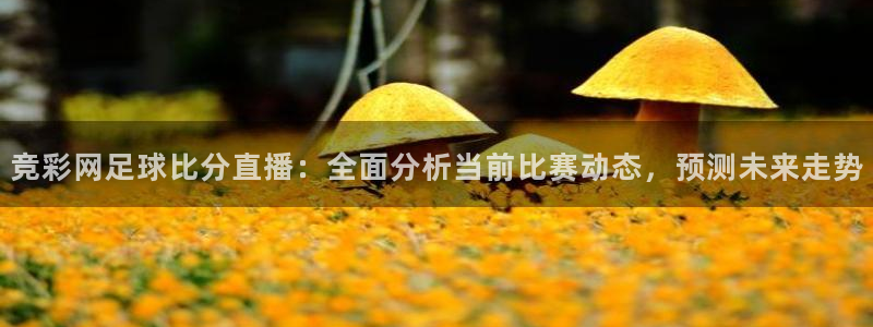 今天有篮球直播吧：竞彩网足球比分直播：全面分析当前比赛动态，预测未来走势