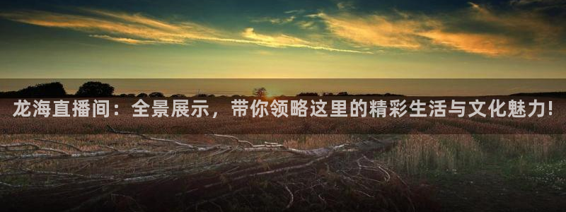 体育极速直播吧：龙海直播间：全景展示，带你领略这里的精彩生活与文化魅力!