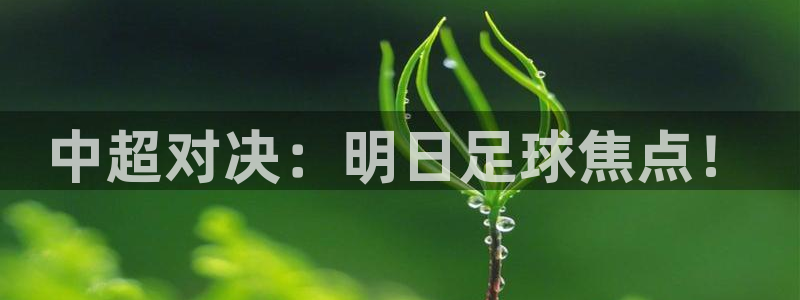 jir体育直播吧：中超对决：明日足球焦点！
