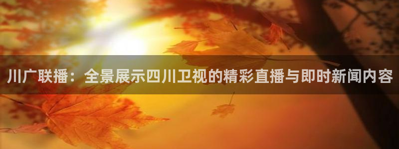 jrs直播吧nba直播雨燕：川广联播：全景展示四川卫视的精彩直播与即时新闻内容